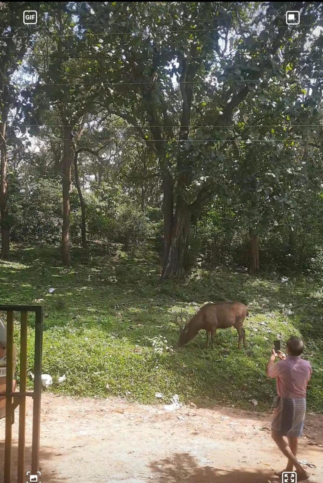 Wild Window - Forest View Homestay Thekkady Dış mekan fotoğraf