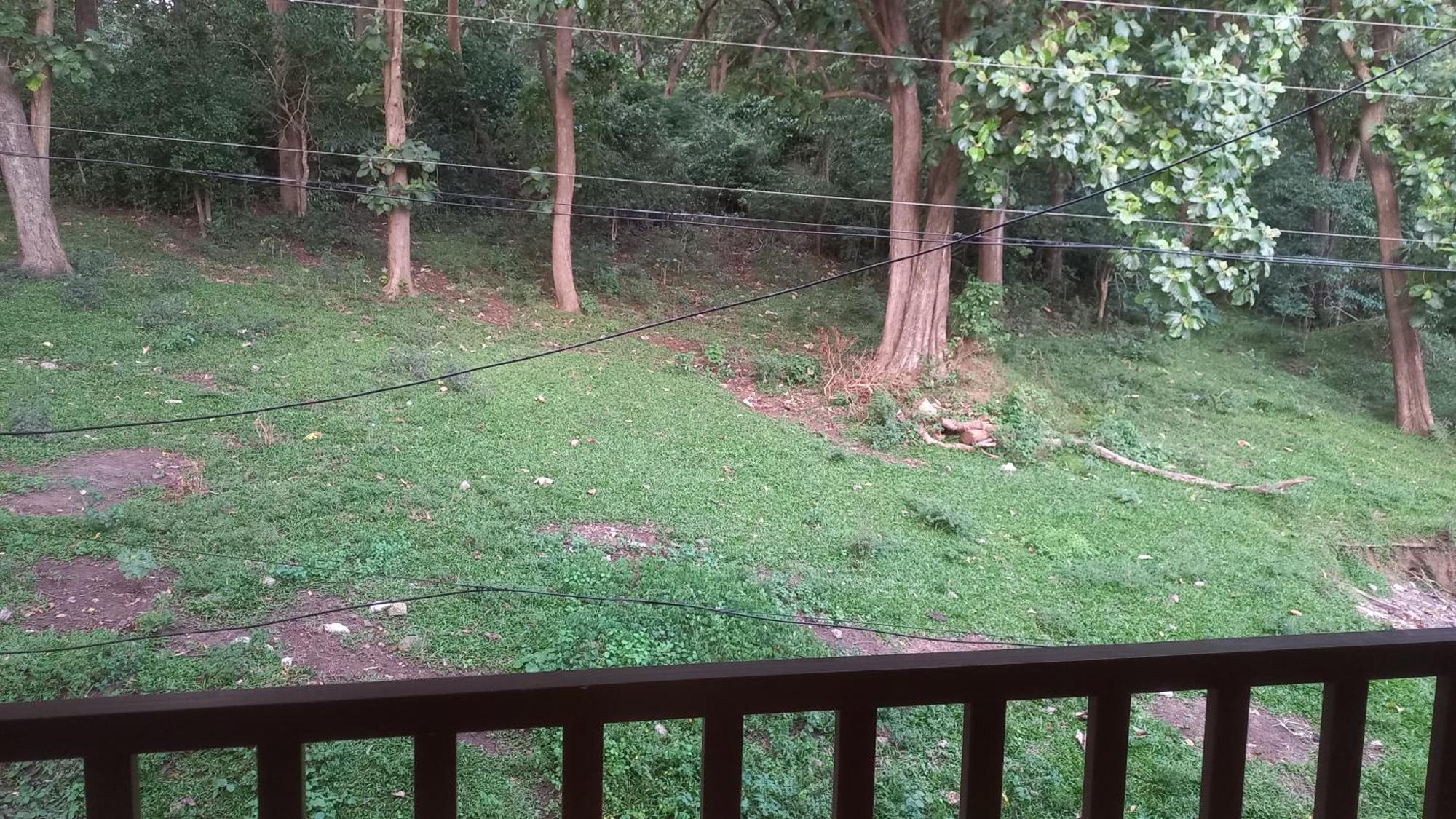 Wild Window - Forest View Homestay Thekkady Dış mekan fotoğraf