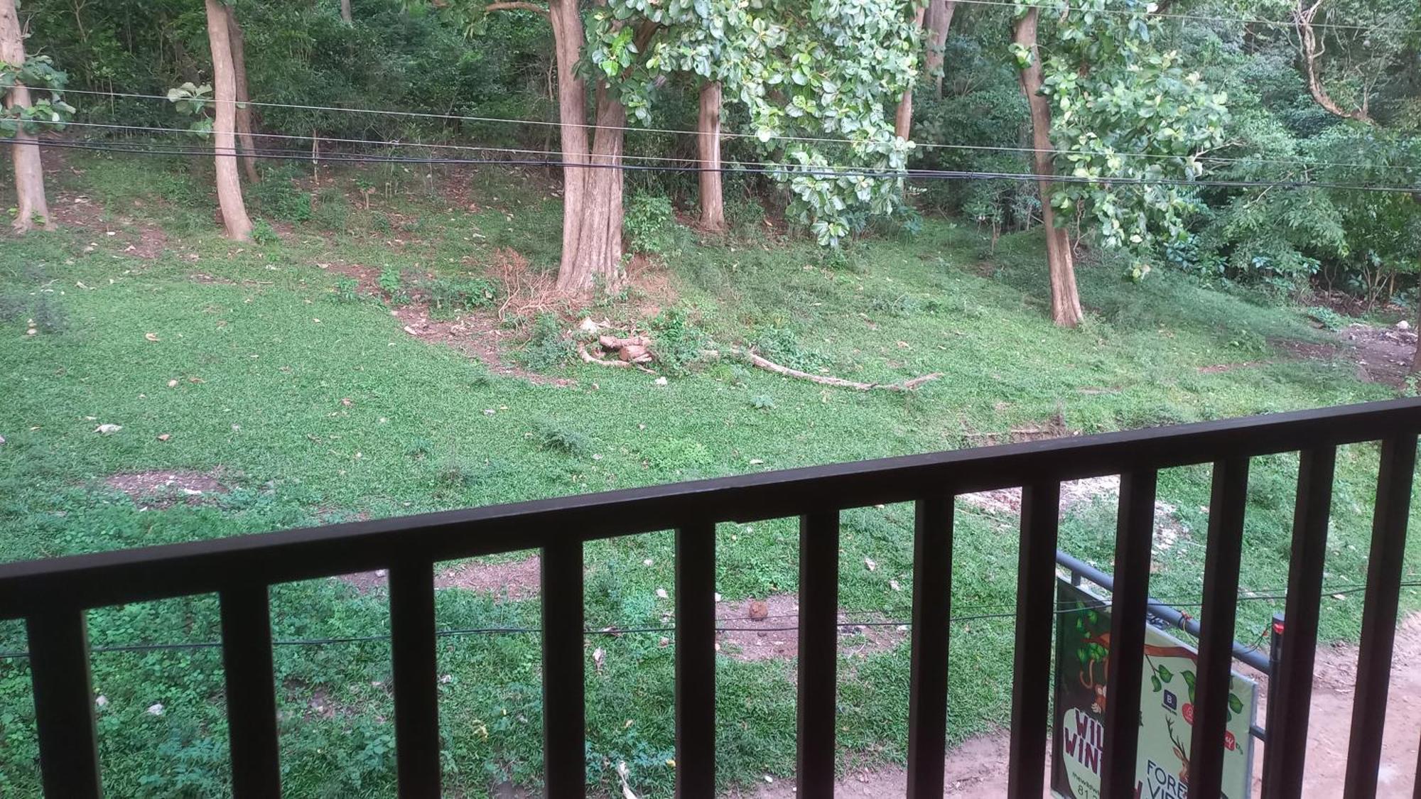 Wild Window - Forest View Homestay Thekkady Dış mekan fotoğraf