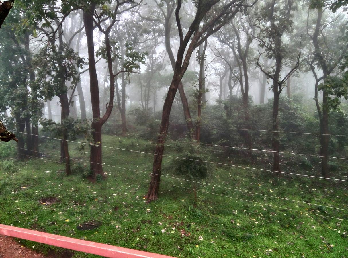 Wild Window - Forest View Homestay Thekkady Dış mekan fotoğraf