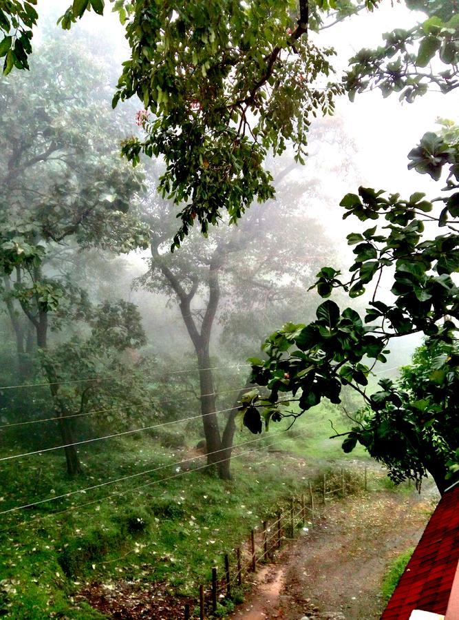 Wild Window - Forest View Homestay Thekkady Dış mekan fotoğraf