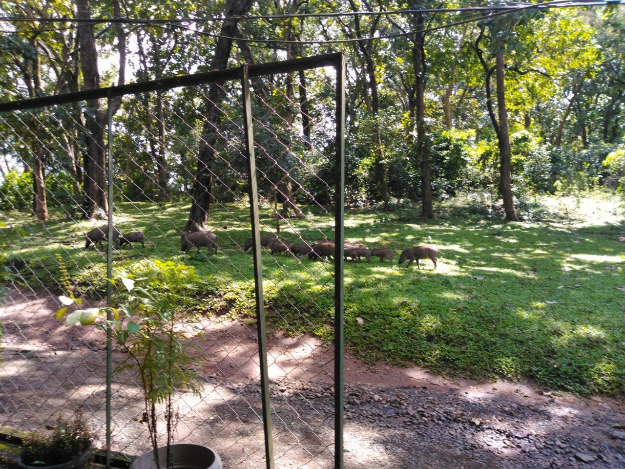 Wild Window - Forest View Homestay Thekkady Dış mekan fotoğraf