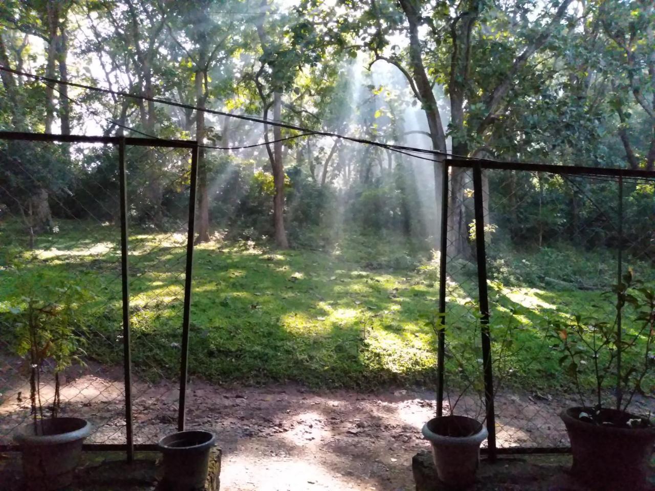 Wild Window - Forest View Homestay Thekkady Dış mekan fotoğraf