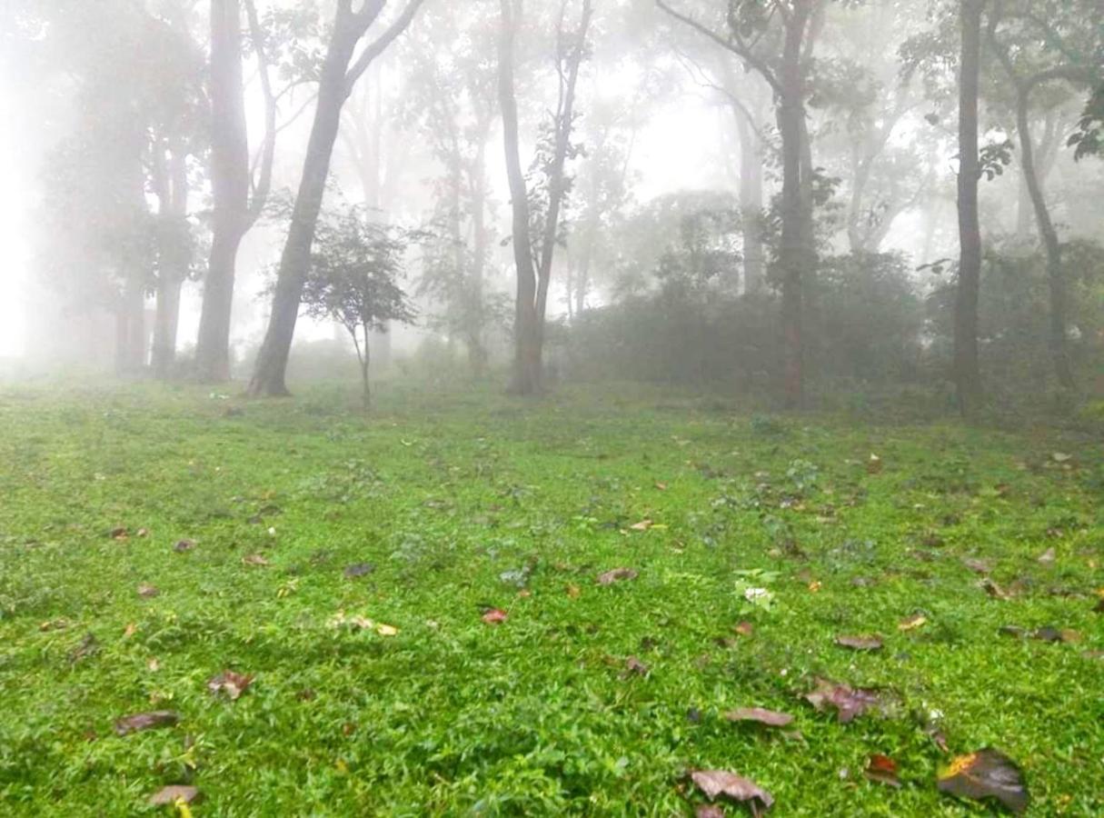 Wild Window - Forest View Homestay Thekkady Dış mekan fotoğraf