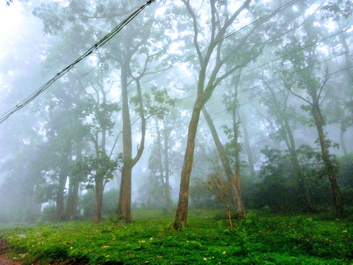 Wild Window - Forest View Homestay Thekkady Dış mekan fotoğraf